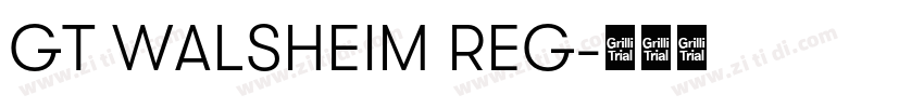 GT WALSHEIM REG字体转换 GT WALSHEIM REG字体转换